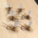 アダムスパラシュート　6本セット