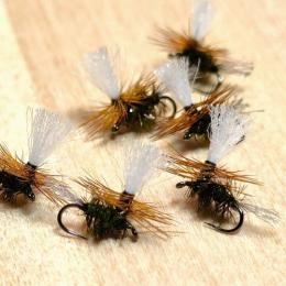 ピーコックパラ(#20)　6本セット