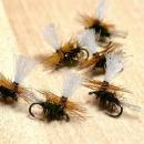 ピーコックパラ(#20)　6本セット