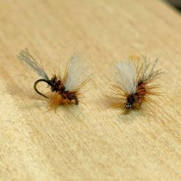 EFソラックスダン(#18～20)　1本