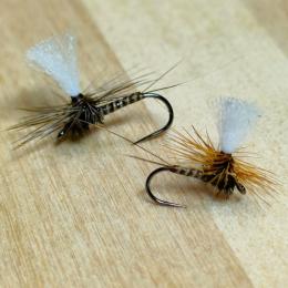 クイルボディパラシュート(#12～18)　1本