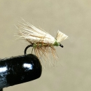 エルクヘアカディス#20(オリーブ、ブリーチ)計6本