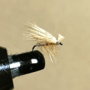 エルクヘアカディス#20(アダムスグレー、ブリーチ)計6本