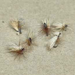 エルクヘアカディス#20(アダムスグレー、ブリーチ)計6本