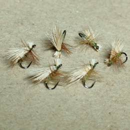 エルクヘアカディス#18(オリーブ、ブリーチ)計6本