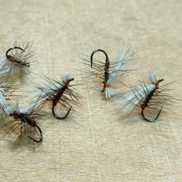 エルクヘアカディス#16(ブラウン、ブリーチ)計6本