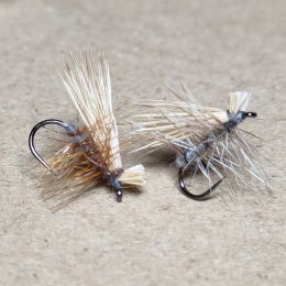 エルクヘアカディス#16(アダムスグレー、ブリーチ)計6本