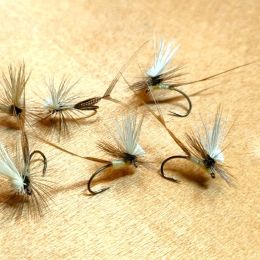 エルクヘアパラシュート#12(ライトケイヒル)計6本