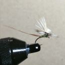 エルクヘアパラシュート#14　#16(オリーブ)計6本