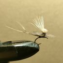 エルクヘアパラシュート#16(アダムスグレー)計6本