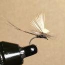 エルクヘアパラシュート#16(ブラック)計6本